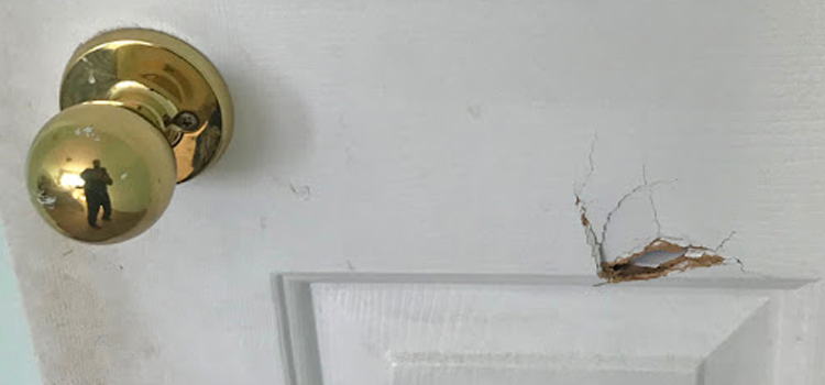 interior door hole repair Windsor