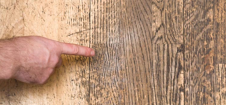 Wood Door Scratch Repair in Windsor